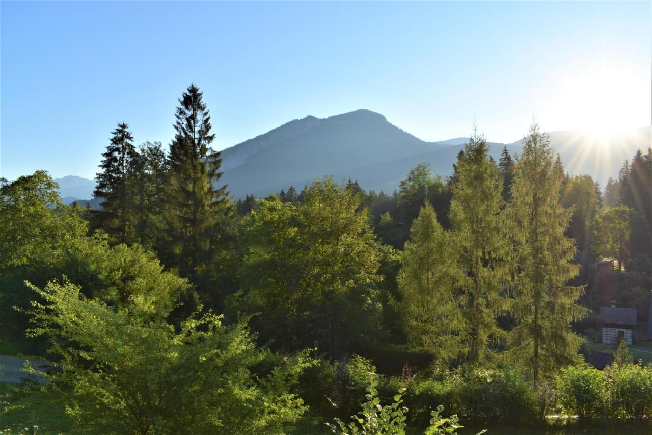 Apartment D'Auszeit Bad Goisern Luaran gambar